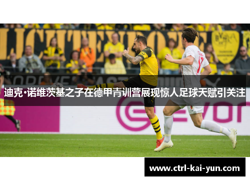 迪克·诺维茨基之子在德甲青训营展现惊人足球天赋引关注